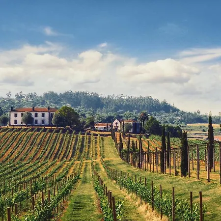 Terra Rosa & Vineyards ポンテ・デ・リマ