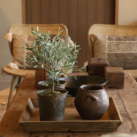 Farm stay Terra Rosa & Vineyards *