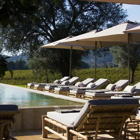 Terra Rosa & Vineyards * פונטה דה לימה