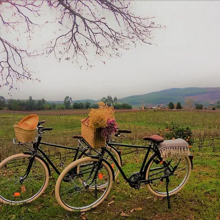 Terra Rosa & Vineyards * פונטה דה לימה