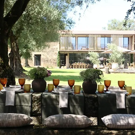 Terra Rosa & Vineyards *