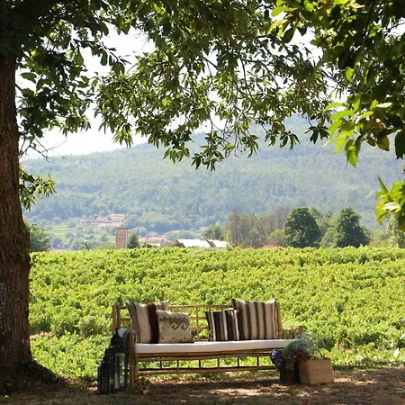 Terra Rosa & Vineyards * פונטה דה לימה