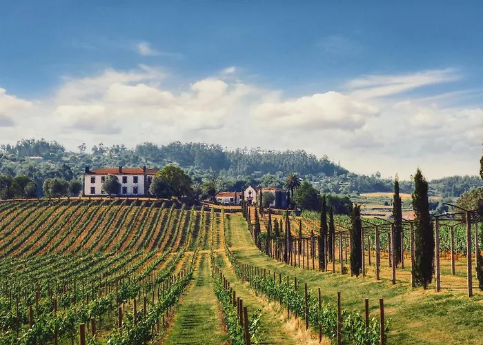 Terra Rosa & Vineyards Понте-де-Лима