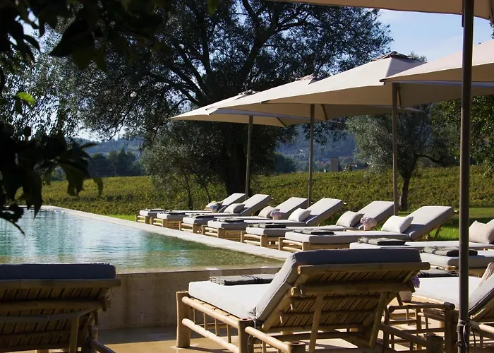 Terra Rosa & Vineyards * 蓬德利马