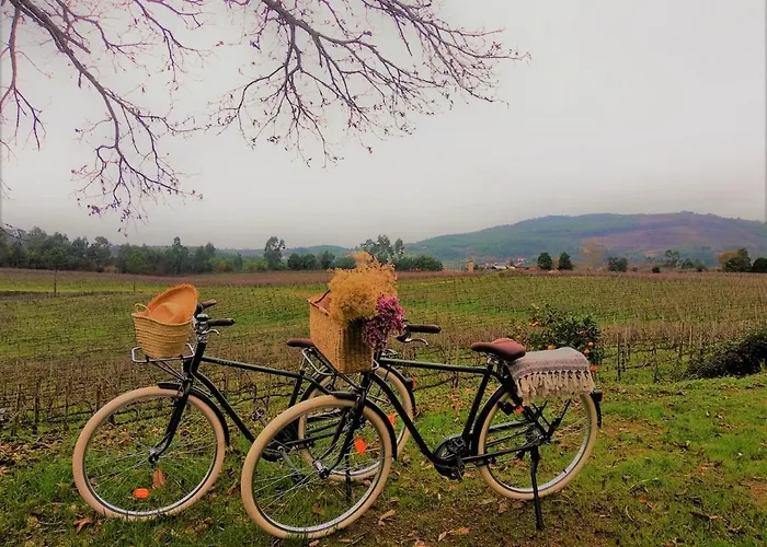 Terra Rosa & Vineyards * Понте-де-Лима