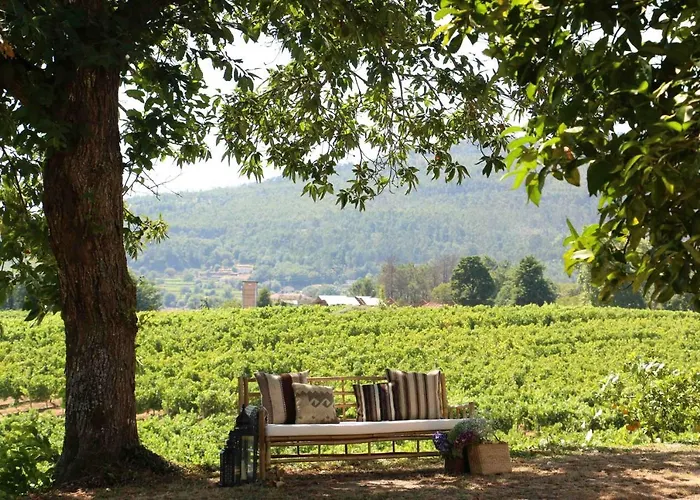 Terra Rosa & Vineyards * 蓬德利马